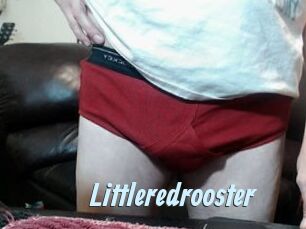 Littleredrooster