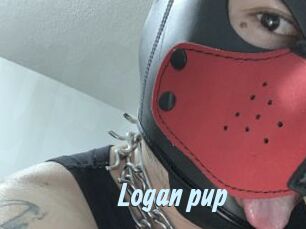 Logan_pup