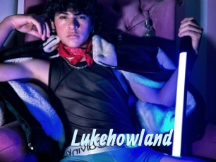 lukehowland Gay Sex Prev