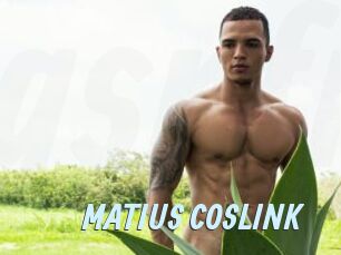 MATIUS_COSLINK
