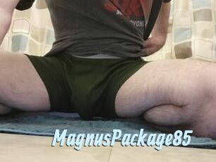 MagnusPackage85