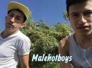 Malehotboys