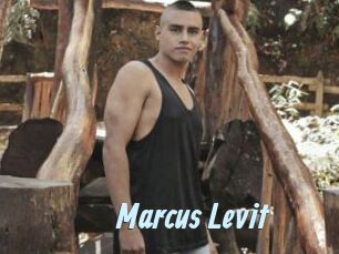 Marcus_Levit
