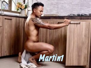 Martin1 Gay Sex Prev