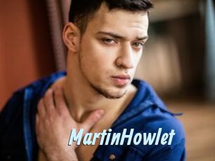 MartinHowlet Gay Sex Prev