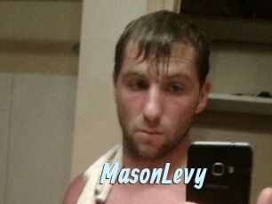 Mason_Levy
