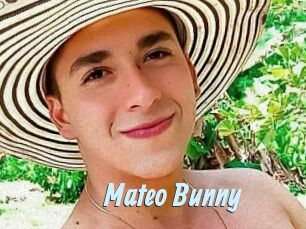 Mateo_Bunny