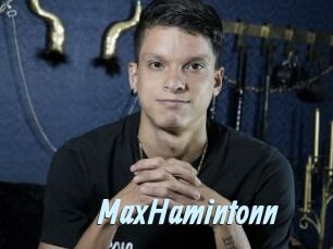 MaxHamintonn