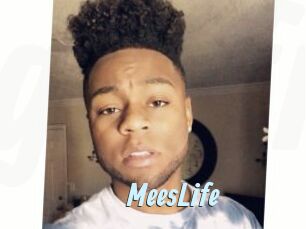 MeesLife Gay Sex Prev