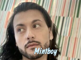 Mintboy
