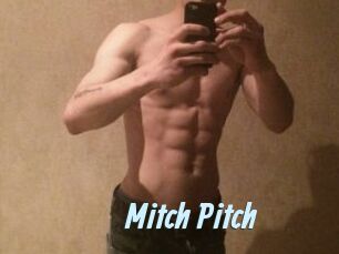 Mitch_Pitch Gay Sex Prev