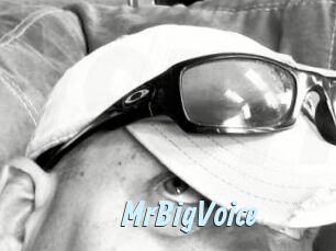 MrBigVoice