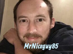 MrNiceguy85