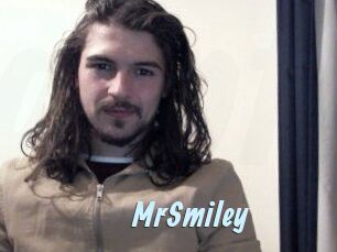 MrSmiley Gay Sex Prev