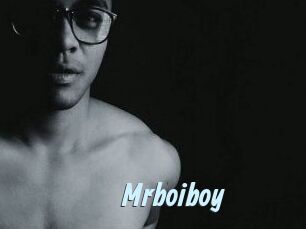 Mrboiboy