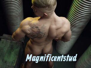 Magnificentstud