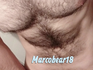 Marcobear18