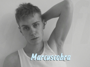marcuscobra Gay Sex Prev