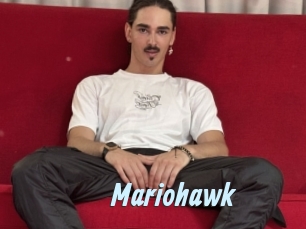 mariohawk Gay Sex Prev