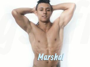 marshal Gay Sex Prev