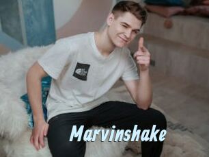 Marvinshake