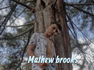 Mathew_brooks
