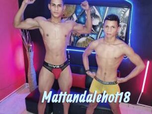 mattandalehot18 Gay Sex Prev