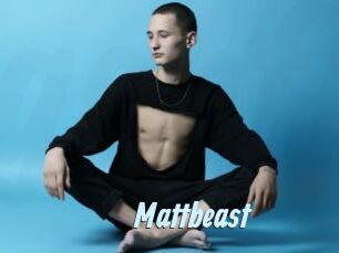 Mattbeast