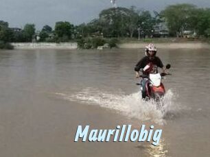 Maurillobig