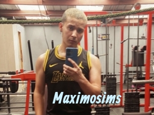 Maximosims