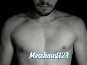 Mecchaud123