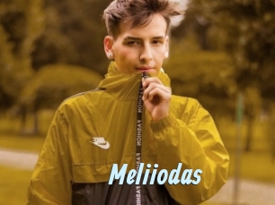 Meliiodas
