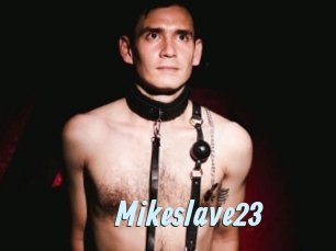 mikeslave23 Gay Sex Prev