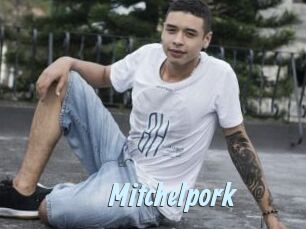 mitchelpork Gay Sex Prev