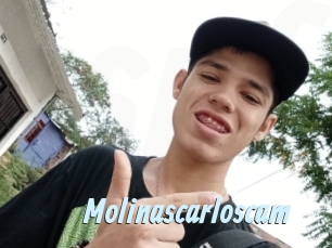 Molinascarloscam
