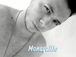 Monaguillo
