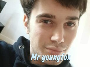 Mr_youngfox