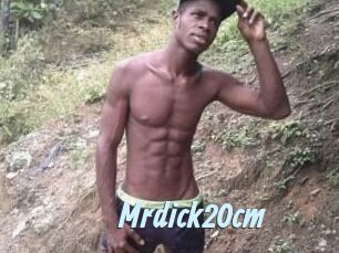 Mrdick20cm