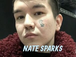 NATE_SPARKS