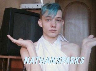 NATHAN_SPARKS
