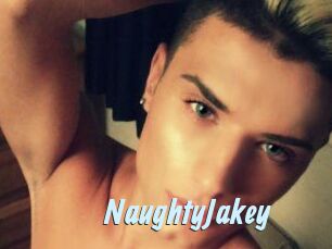 NaughtyJakey Gay Sex Prev