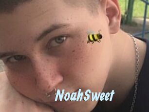 NoahSweet