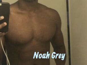 Noah_Grey