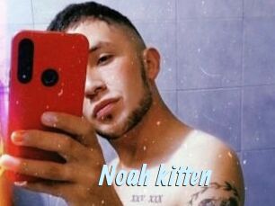 Noah_kitten