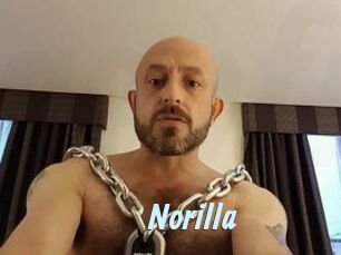 Norilla