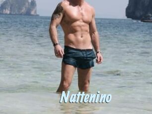 Nattenino
