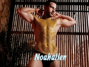 Noahallen