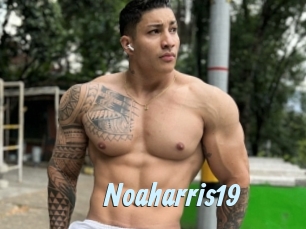 Noaharris19
