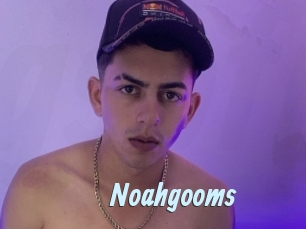 Noahgooms
