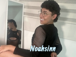 Noahsinn
